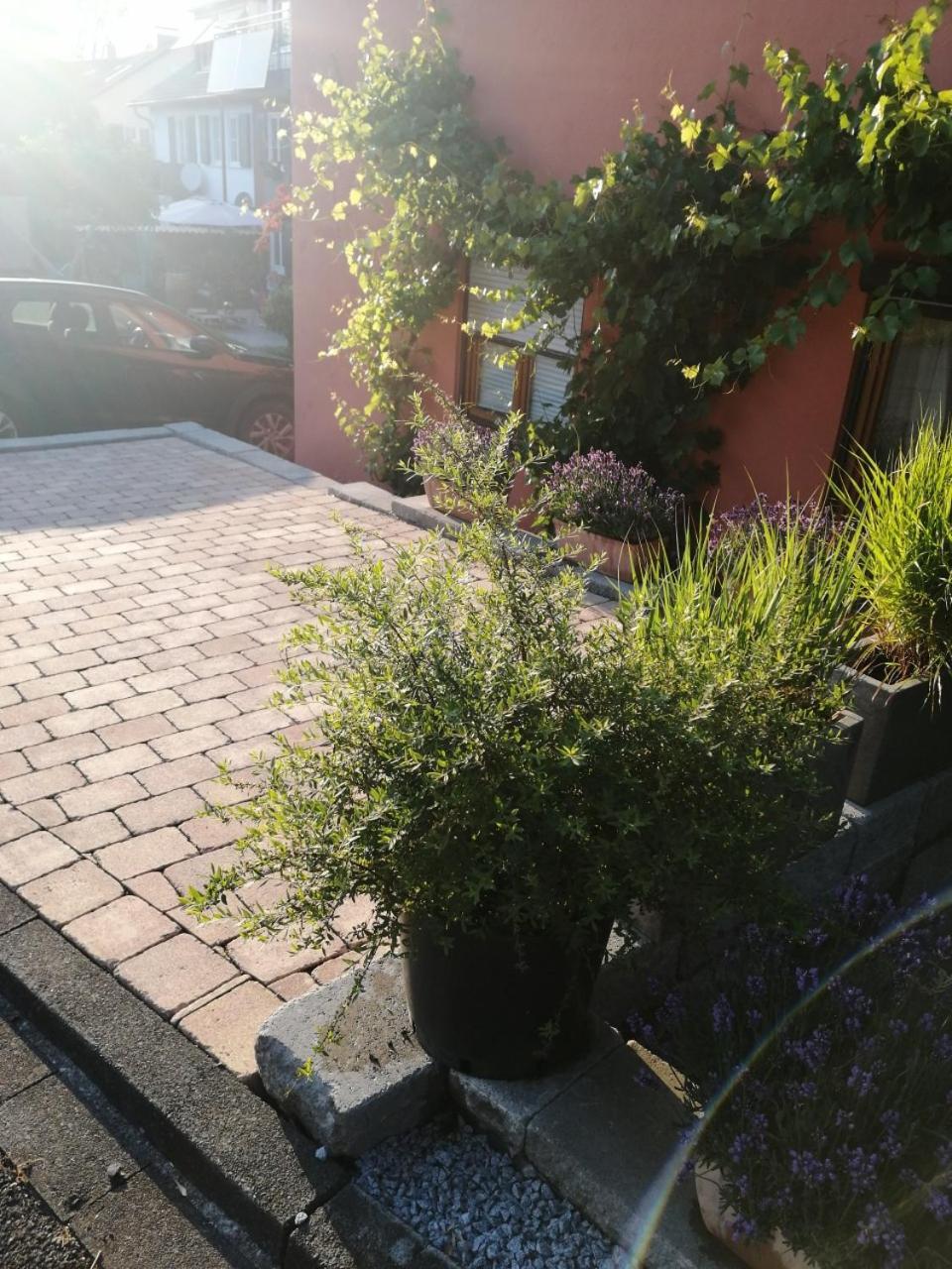 Haus Meersburg Garten Ngoại thất bức ảnh