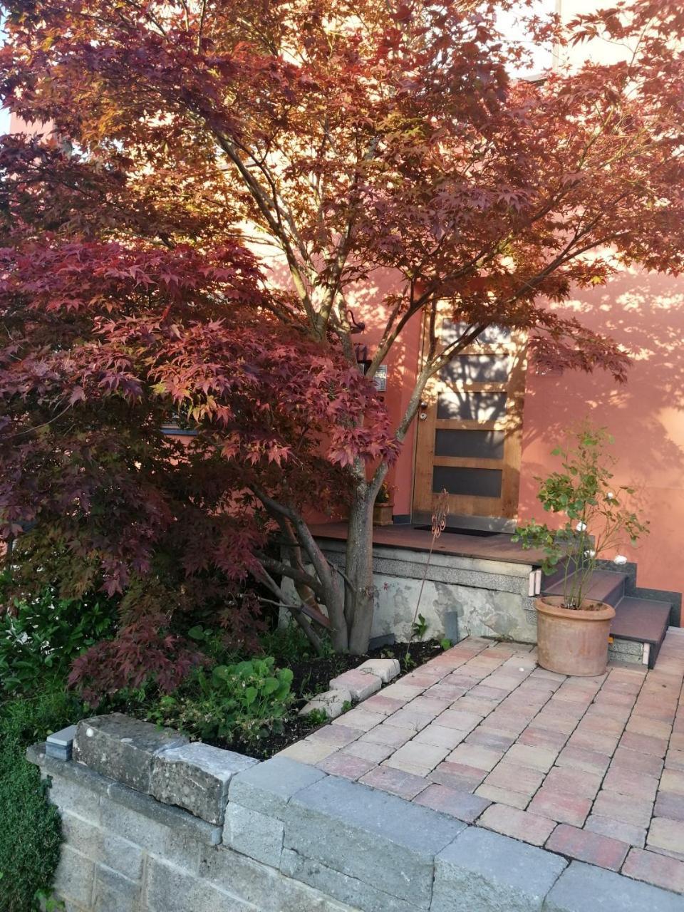 Haus Meersburg Garten Ngoại thất bức ảnh