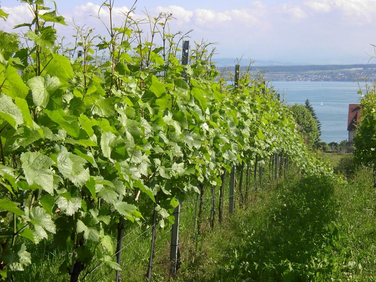 Haus Meersburg Garten Ngoại thất bức ảnh