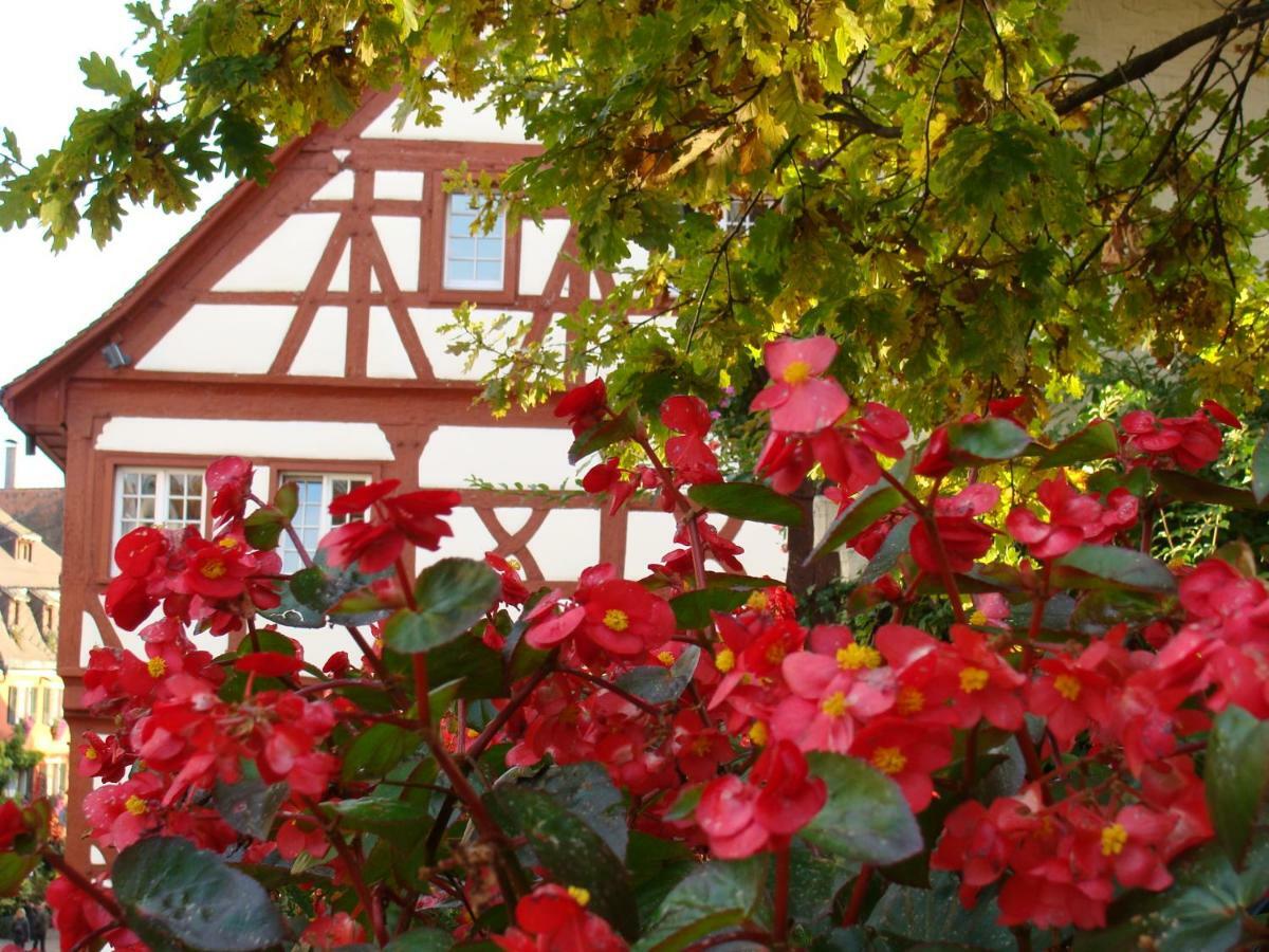 Haus Meersburg Garten Ngoại thất bức ảnh